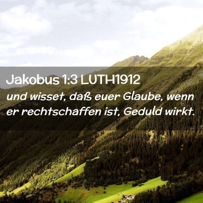 Picture 02 - Jakobus 1:3 LUTH1912 - und wisset, daß euer Glaube, wenn er - Bible Verse Picture