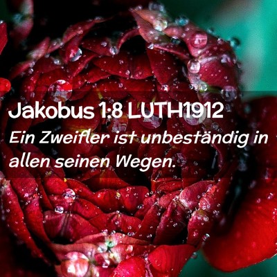 Picture 02 - Jakobus 1:8 LUTH1912 - Ein Zweifler ist unbeständig in allen seinen - Bible Verse Picture