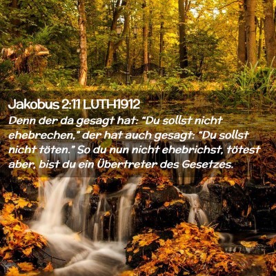 Picture 02 - Jakobus 2:11 LUTH1912 - Denn der da gesagt hat: “Du sollst nicht - Bible Verse Picture