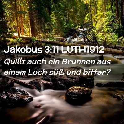 Picture 02 - Jakobus 3:11 LUTH1912 - Quillt auch ein Brunnen aus einem Loch süß und - Bible Verse Picture