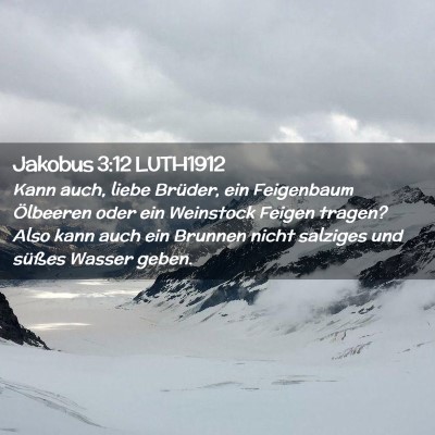 Picture 02 - Jakobus 3:12 LUTH1912 - Kann auch, liebe Brüder, ein Feigenbaum - Bible Verse Picture