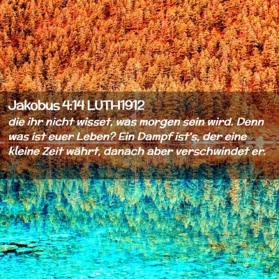 Picture 02 - Jakobus 4:14 LUTH1912 - die ihr nicht wisset, was morgen sein wird. Denn - Bible Verse Picture