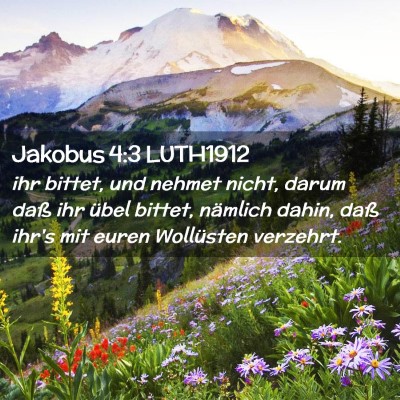 Picture 02 - Jakobus 4:3 LUTH1912 - ihr bittet, und nehmet nicht, darum daß ihr - Bible Verse Picture