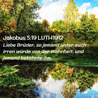 Picture 02 - Jakobus 5:19 LUTH1912 - Liebe Brüder, so jemand unter euch irren würde - Bible Verse Picture