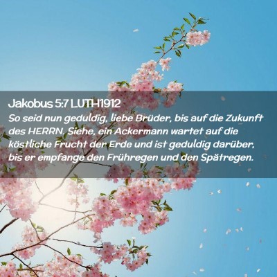 Picture 02 - Jakobus 5:7 LUTH1912 - So seid nun geduldig, liebe Brüder, bis auf die - Bible Verse Picture
