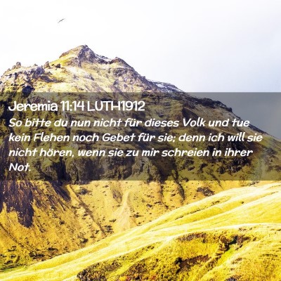 Picture 02 - Jeremia 11:14 LUTH1912 - So bitte du nun nicht für dieses Volk und tue - Bible Verse Picture