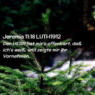 Picture 02 - Jeremia 11:18 LUTH1912 - Der HERR hat mir's offenbart, daß ich's weiß, - Bible Verse Picture