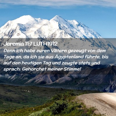 Picture 02 - Jeremia 11:7 LUTH1912 - Denn ich habe euren Vätern gezeugt von dem Tage - Bible Verse Picture