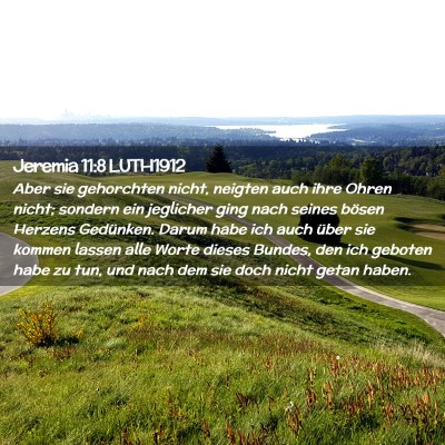 Picture 02 - Jeremia 11:8 LUTH1912 - Aber sie gehorchten nicht, neigten auch ihre - Bible Verse Picture