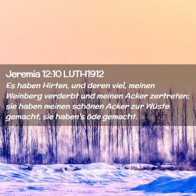 Picture 02 - Jeremia 12:10 LUTH1912 - Es haben Hirten, und deren viel, meinen Weinberg - Bible Verse Picture
