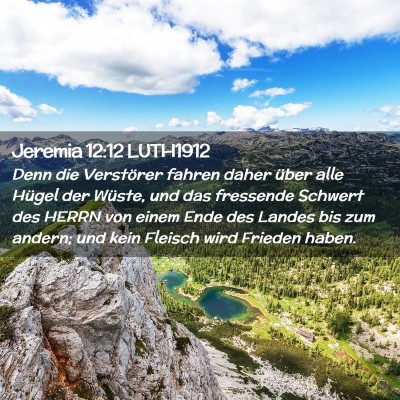 Picture 02 - Jeremia 12:12 LUTH1912 - Denn die Verstörer fahren daher über alle - Bible Verse Picture