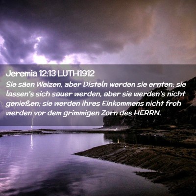 Picture 02 - Jeremia 12:13 LUTH1912 - Sie säen Weizen, aber Disteln werden sie ernten; - Bible Verse Picture
