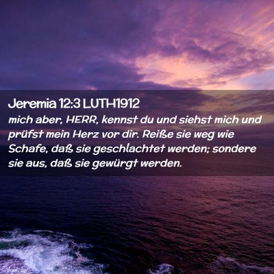 Picture 02 - Jeremia 12:3 LUTH1912 - mich aber, HERR, kennst du und siehst mich und - Bible Verse Picture