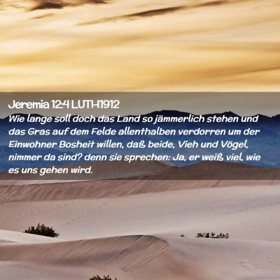 Picture 02 - Jeremia 12:4 LUTH1912 - Wie lange soll doch das Land so jämmerlich - Bible Verse Picture