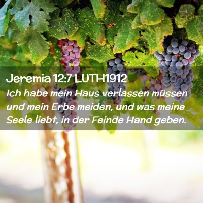 Picture 02 - Jeremia 12:7 LUTH1912 - Ich habe mein Haus verlassen müssen und mein - Bible Verse Picture