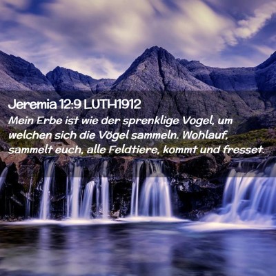 Picture 02 - Jeremia 12:9 LUTH1912 - Mein Erbe ist wie der sprenklige Vogel, um - Bible Verse Picture
