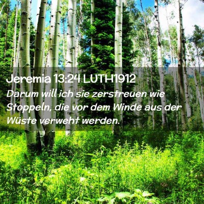 Picture 02 - Jeremia 13:24 LUTH1912 - Darum will ich sie zerstreuen wie Stoppeln, die - Bible Verse Picture