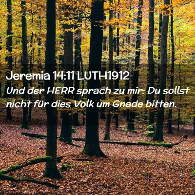 Picture 02 - Jeremia 14:11 LUTH1912 - Und der HERR sprach zu mir: Du sollst nicht für - Bible Verse Picture