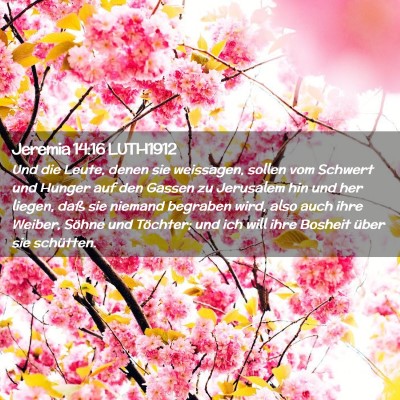 Picture 02 - Jeremia 14:16 LUTH1912 - Und die Leute, denen sie weissagen, sollen vom - Bible Verse Picture