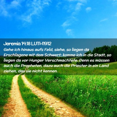 Picture 02 - Jeremia 14:18 LUTH1912 - Gehe ich hinaus aufs Feld, siehe, so liegen da - Bible Verse Picture