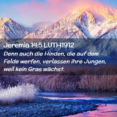 Picture 02 - Jeremia 14:5 LUTH1912 - Denn auch die Hinden, die auf dem Felde werfen, - Bible Verse Picture