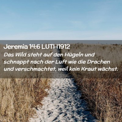 Picture 02 - Jeremia 14:6 LUTH1912 - Das Wild steht auf den Hügeln und schnappt nach - Bible Verse Picture