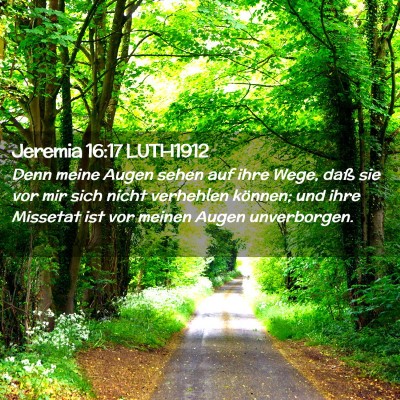 Picture 02 - Jeremia 16:17 LUTH1912 - Denn meine Augen sehen auf ihre Wege, daß sie - Bible Verse Picture