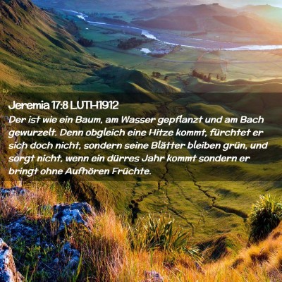 Picture 02 - Jeremia 17:8 LUTH1912 - Der ist wie ein Baum, am Wasser gepflanzt und am - Bible Verse Picture