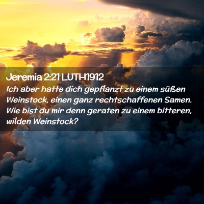 Picture 02 - Jeremia 2:21 LUTH1912 - Ich aber hatte dich gepflanzt zu einem süßen - Bible Verse Picture