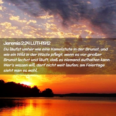 Picture 02 - Jeremia 2:24 LUTH1912 - Du läufst umher wie eine Kamelstute in der - Bible Verse Picture