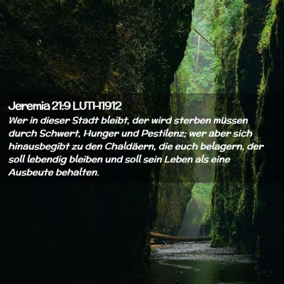 Picture 02 - Jeremia 21:9 LUTH1912 - Wer in dieser Stadt bleibt, der wird sterben - Bible Verse Picture