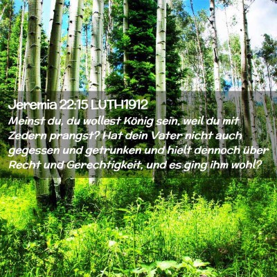 Picture 02 - Jeremia 22:15 LUTH1912 - Meinst du, du wollest König sein, weil du mit - Bible Verse Picture