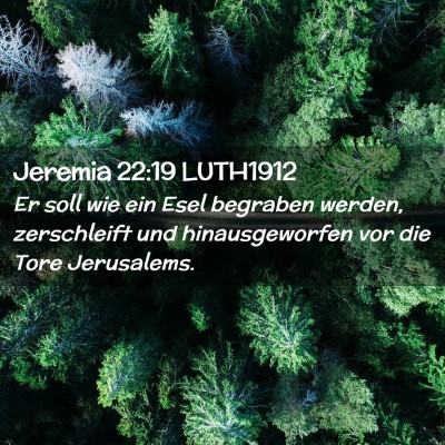 Picture 02 - Jeremia 22:19 LUTH1912 - Er soll wie ein Esel begraben werden, zerschleift - Bible Verse Picture