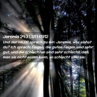 Picture 02 - Jeremia 24:3 LUTH1912 - Und der HERR sprach zu mir: Jeremia, was siehst - Bible Verse Picture