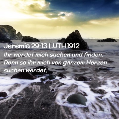 Picture 02 - Jeremia 29:13 LUTH1912 - Ihr werdet mich suchen und finden. Denn so ihr - Bible Verse Picture