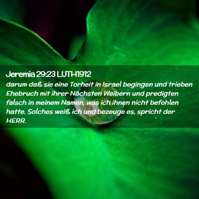Picture 02 - Jeremia 29:23 LUTH1912 - darum daß sie eine Torheit in Israel begingen - Bible Verse Picture