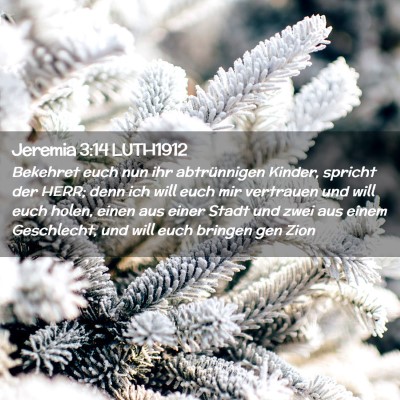 Picture 02 - Jeremia 3:14 LUTH1912 - Bekehret euch nun ihr abtrünnigen Kinder, - Bible Verse Picture