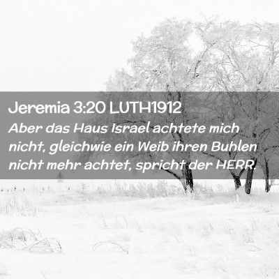 Picture 02 - Jeremia 3:20 LUTH1912 - Aber das Haus Israel achtete mich nicht, - Bible Verse Picture