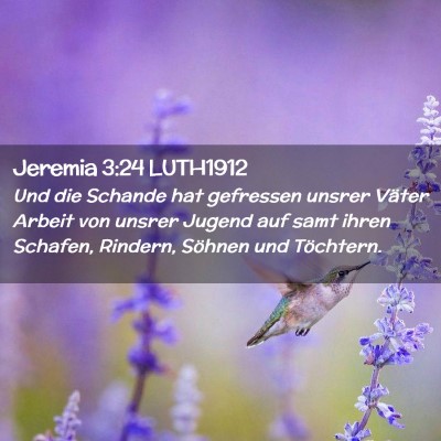 Picture 02 - Jeremia 3:24 LUTH1912 - Und die Schande hat gefressen unsrer Väter - Bible Verse Picture