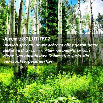 Picture 02 - Jeremia 3:7 LUTH1912 - Und ich sprach, da sie solches alles getan hatte: - Bible Verse Picture