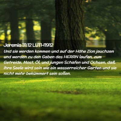 Picture 02 - Jeremia 31:12 LUTH1912 - Und sie werden kommen und auf der Höhe Zion - Bible Verse Picture