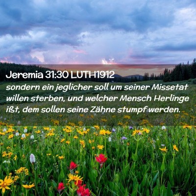 Picture 02 - Jeremia 31:30 LUTH1912 - sondern ein jeglicher soll um seiner Missetat - Bible Verse Picture