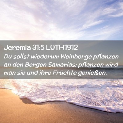 Picture 02 - Jeremia 31:5 LUTH1912 - Du sollst wiederum Weinberge pflanzen an den - Bible Verse Picture