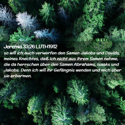 Picture 02 - Jeremia 33:26 LUTH1912 - so will ich auch verwerfen den Samen Jakobs und - Bible Verse Picture