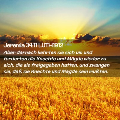 Picture 02 - Jeremia 34:11 LUTH1912 - Aber darnach kehrten sie sich um und forderten - Bible Verse Picture