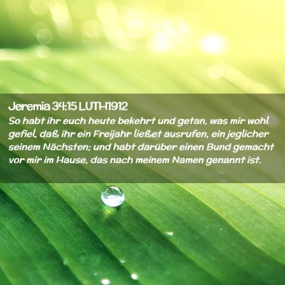 Picture 02 - Jeremia 34:15 LUTH1912 - So habt ihr euch heute bekehrt und getan, was mir - Bible Verse Picture