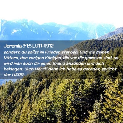 Picture 02 - Jeremia 34:5 LUTH1912 - sondern du sollst im Frieden sterben. Und wie - Bible Verse Picture