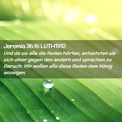 Picture 02 - Jeremia 36:16 LUTH1912 - Und da sie alle die Reden hörten, entsetzten sie - Bible Verse Picture