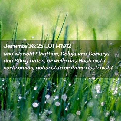 Picture 02 - Jeremia 36:25 LUTH1912 - und wiewohl Elnathan, Delaja und Gemarja den - Bible Verse Picture
