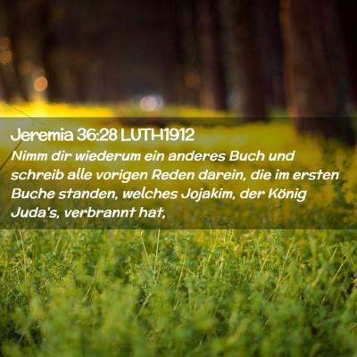 Picture 02 - Jeremia 36:28 LUTH1912 - Nimm dir wiederum ein anderes Buch und schreib - Bible Verse Picture